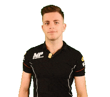 Racing Driver Sticker by Kas Haverkort