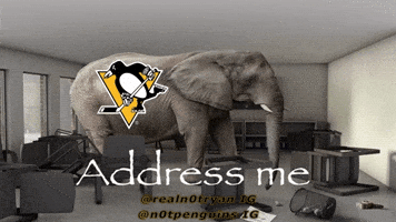 Pittsburgh Penguins GIF