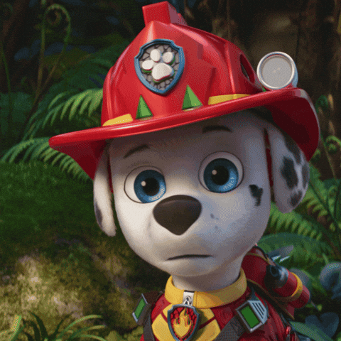 Confused GIF by Paw Patrol Movies