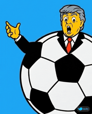 Football Soccer GIF by Moby