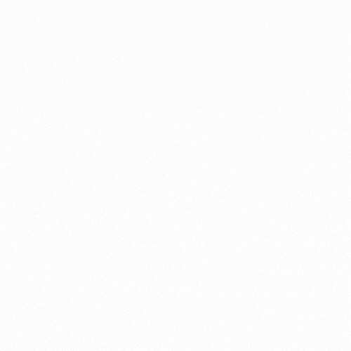 Radboud Fonds GIF