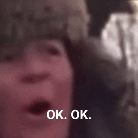 Idiot Ok GIF by theidahosheriff