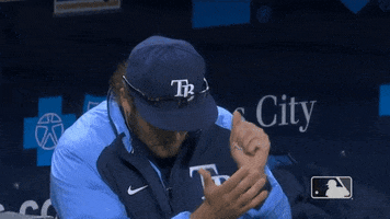 Tampa Bay Yes GIF by MLB