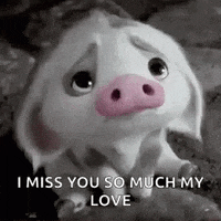 Saesipjosuz8q 50 I Just Love You So Much Gif I Just Love You So Much Gif