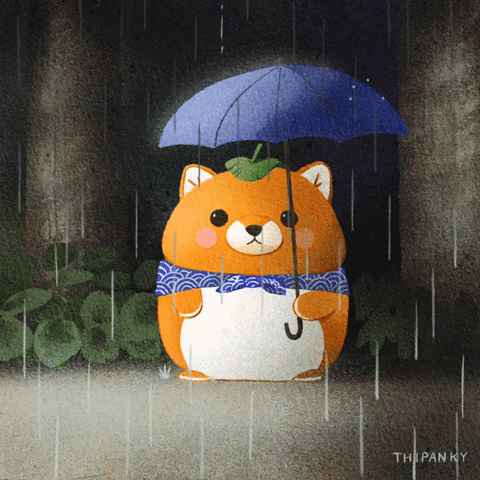 thipanky dog rain umbrella shiba GIF