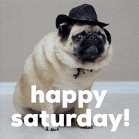 Good-morning-happy-saturday GIFs - Get the best GIF on GIPHY