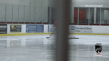 Hockey Nhl GIF by Florida Panthers