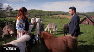Dont Be Shy Andrea Berg GIF by ZDF