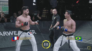 fight mma GIF by Karate Combat