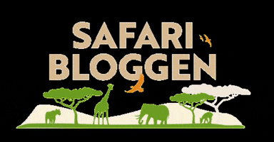 Afrikakompaniet safari afrikakompaniet safaribloggen safariresa GIF