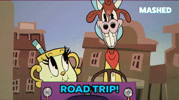 Happy Road Trip GIF by Mashed