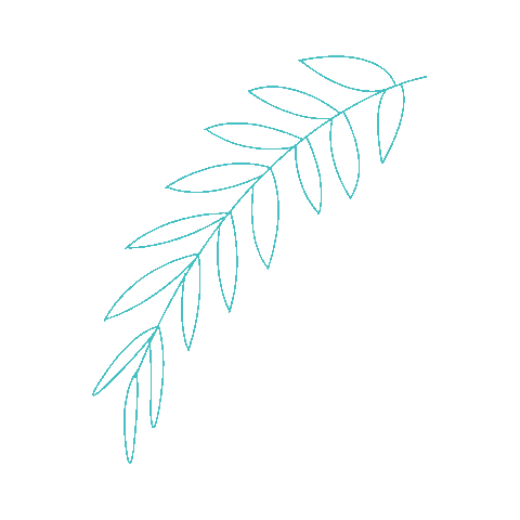 Leaf Sticker