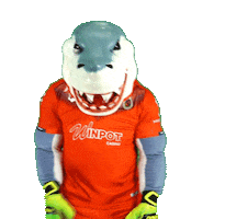 Liga Mx Futbol Sticker by Tiburones Rojos