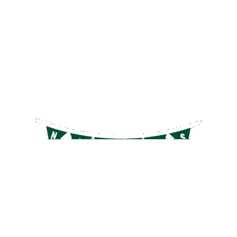 UNC Charlotte Sticker