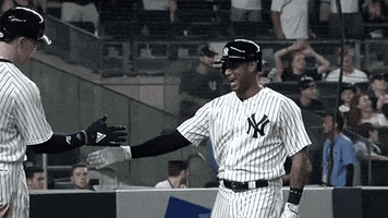 High Five Major League Baseball GIF by New York Yankees