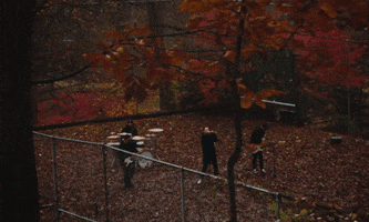 Music Video Fall GIF by Pure Noise Records