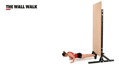 Strength Training GIF - Find & Share on GIPHY