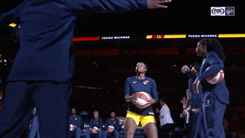 Tiffany Mitchell Intro GIF by Indiana Fever
