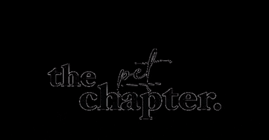thechapter_ cats dogs pet pets GIF