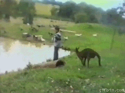 knocking knock out GIF - knocking knock out GIF