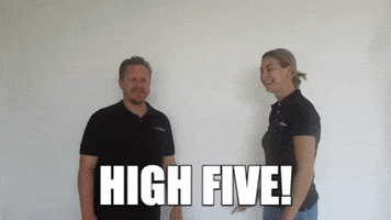 ZorgOber good job high five together highfive GIF