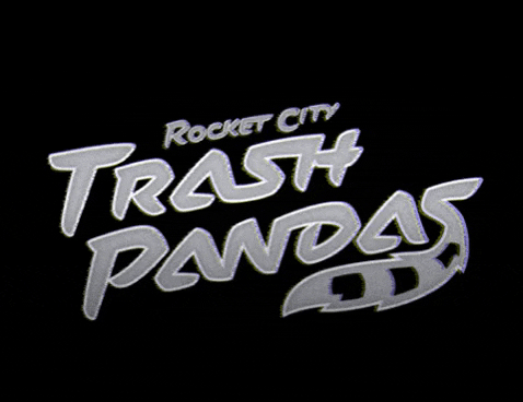 Minor League Baseball Raccoons GIF by Rocket City Trash Pandas - Find