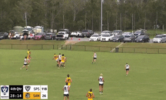 Vfl GIF