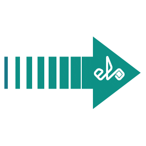 Arrow Seta Sticker by Elo Formaturas