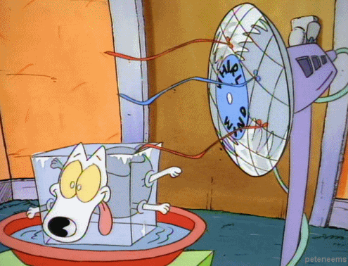 Giphy - hot rockos modern life GIF