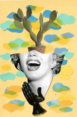 Collage GIF