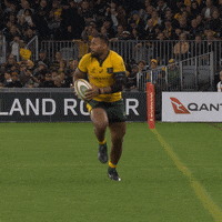 Fend Wallabies Rugby GIF by Wallabies Official