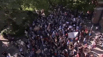 protest climate change global climate strike climate protest GIF