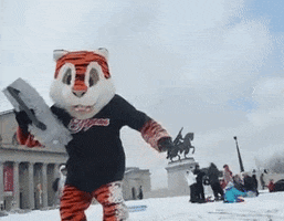 Sledding Snow Day GIF by Rawlings Tigers