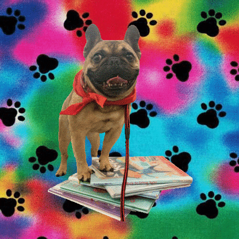 French Bulldog Lol GIF by Springville Library
