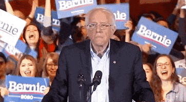 Bernie Sanders Lead GIF by Election 2020