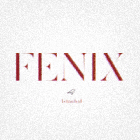 fenixistanbul GIF