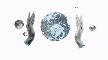 Sustainable Development Hands GIF by Transparency International