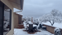 Tucson Resident Wakes to Snow-Covered Backyard