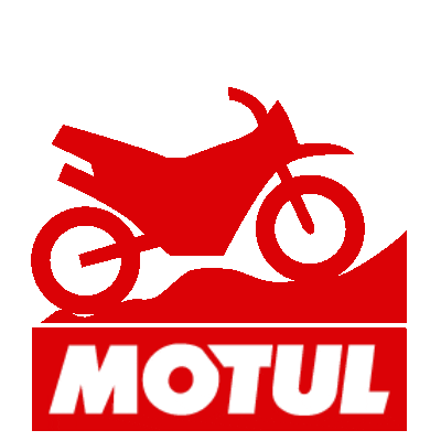 Racing Motorbike Sticker by Motul
