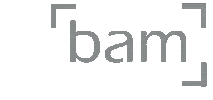 bamcases Sticker
