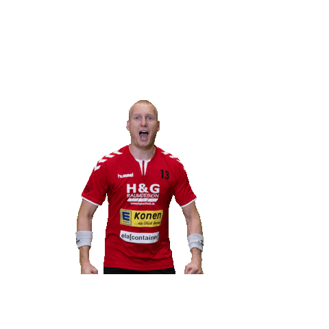 TuS Haren Handballer Sticker