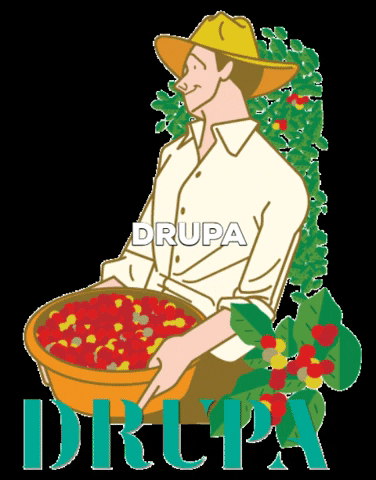 Drupa Café de Diseño GIF