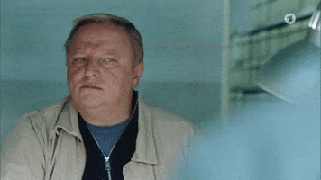 Das_Erste wtf munster tatort krimi GIF
