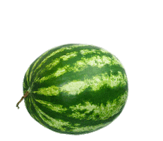 Nicetry Magazine Sticker