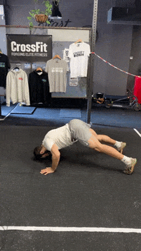 Push Ups With Human Gifs Get The Best Gif On Giphy
