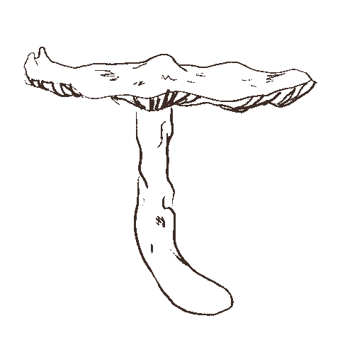 Mushroom Sticker