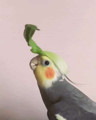 He'll look like this.