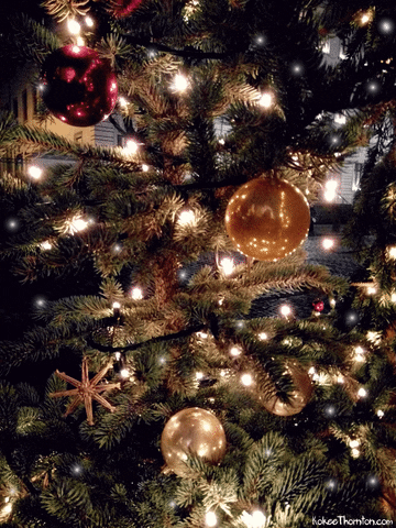 Merry Christmas GIF by Kokee Thornton
