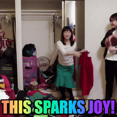  marie kondo this sparks joy GIF