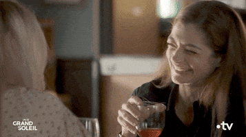 Party Drinking GIF by Un si grand soleil